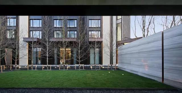 �޽�ʦ���������