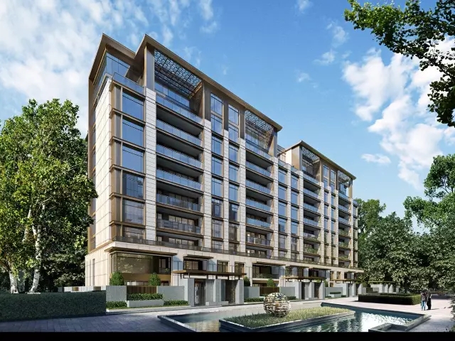 �Ϻ��������������ҽ��ذ��»�-����-������ͷ������������,���콱-���������