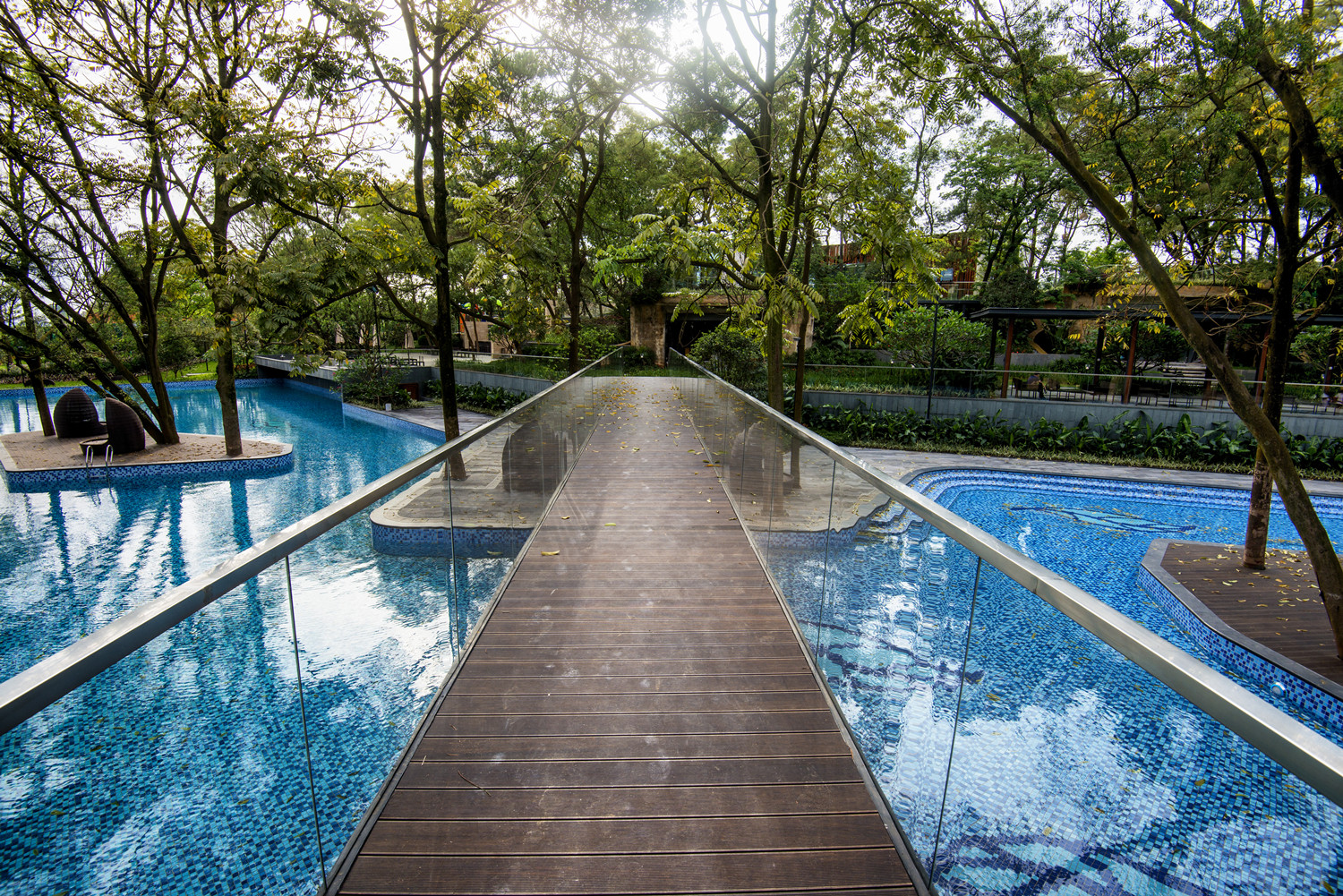 ������Ƴ�չʾ����