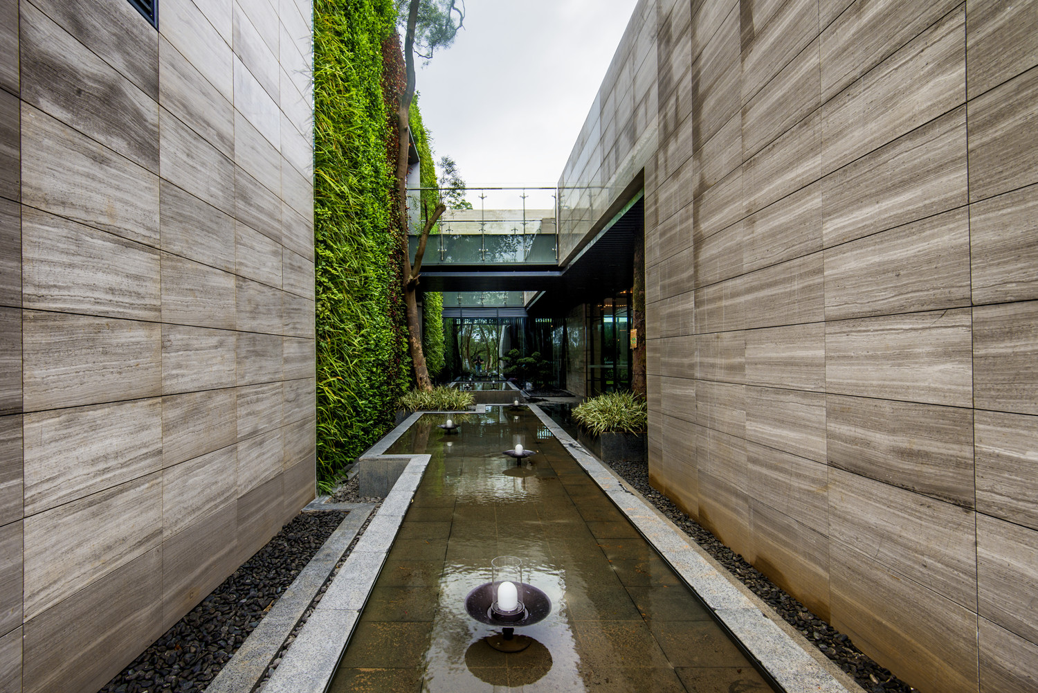 ������Ƴ�չʾ����